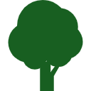 みんなで作る木の図鑑